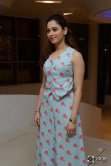 Tamannaah at Bengal Tiger Movie Success Meet